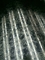 З180 высокопрочной катушки гальванизированные стальной пластиной стальные СПКК СПКД 0.61*1250мм